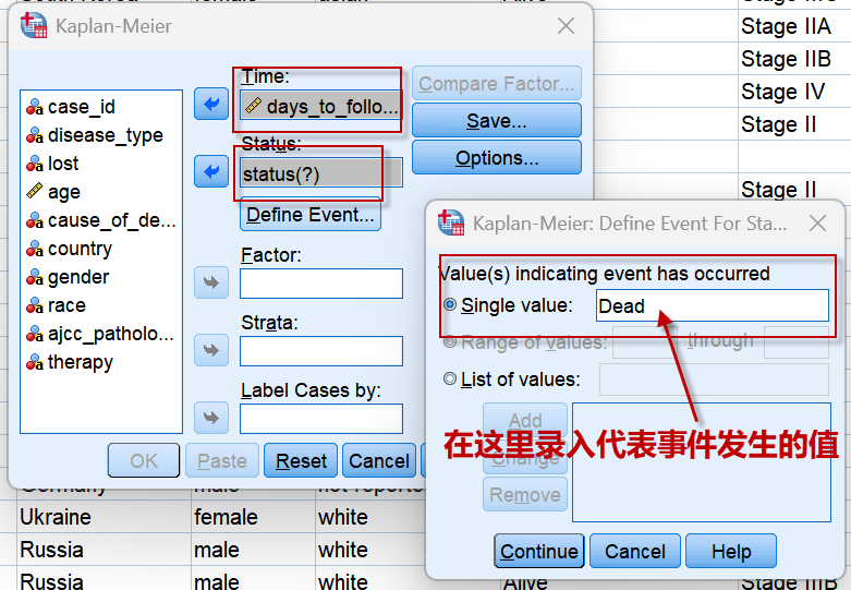image-20251110223404009
