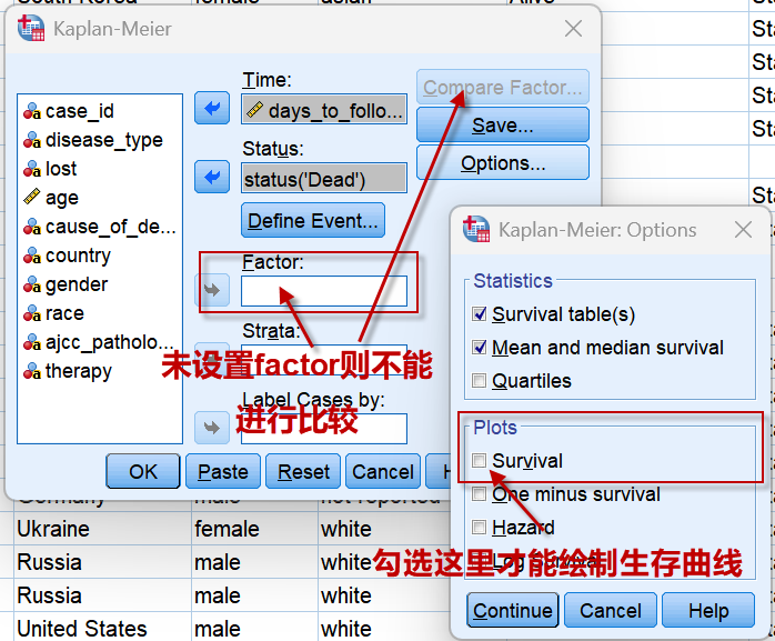 image-20251110224335544
