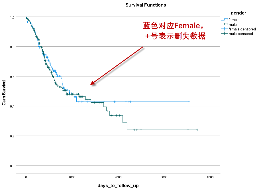 image-20251111083746598